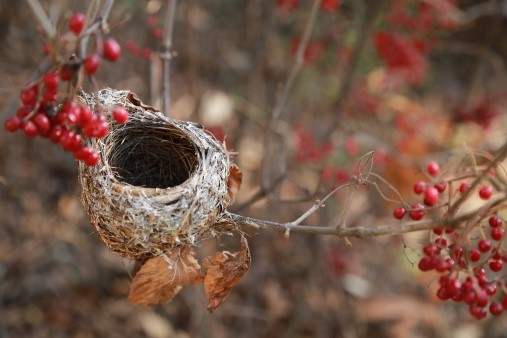 Be a happy Empty Nester and avoid Empty Nest Depression