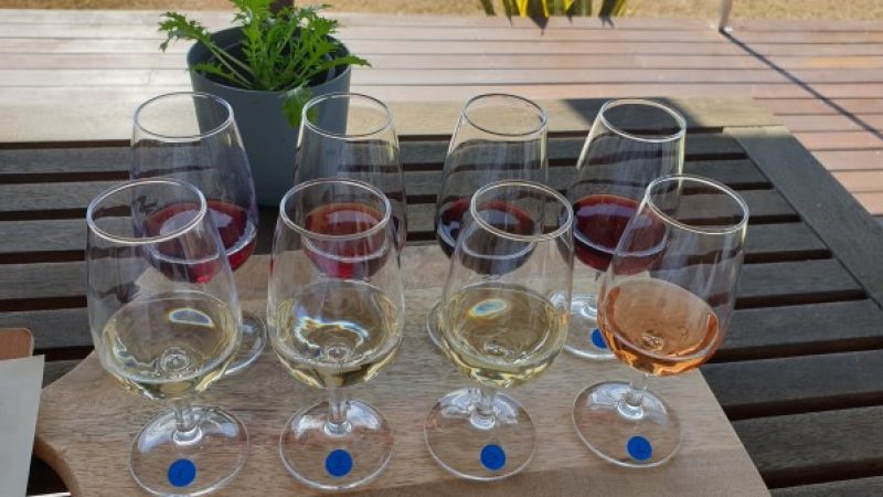 8 glasses of wine for tasting at Barambah Cellars, South Burnett