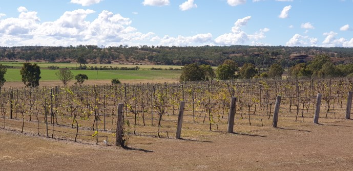 Why you should visit The South Burnett Wine Region