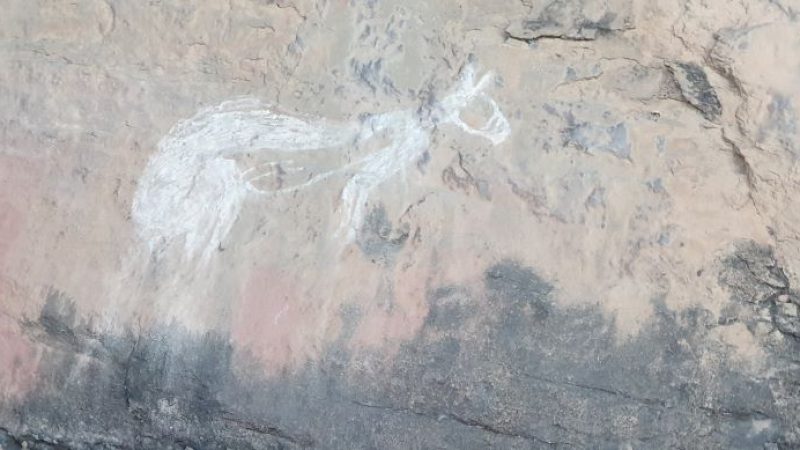 A rock art drawing of a kangaroo at Kakadu National Park