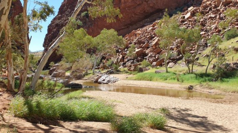 Looking over a waterhole at the entrance to Simpsons Gap