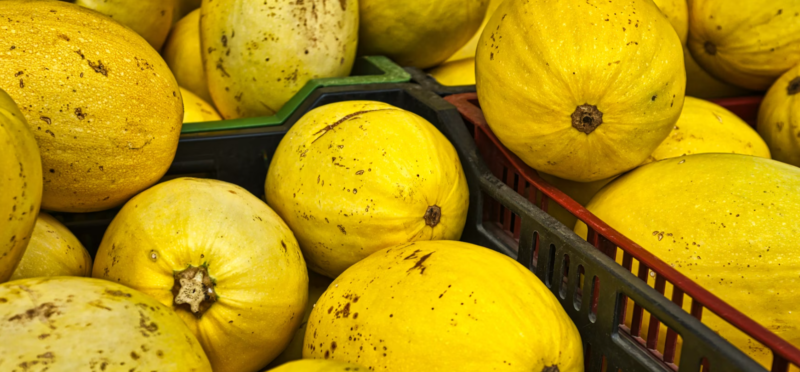 Spaghetti squash is a good diabetic replacment for regular spaghetti