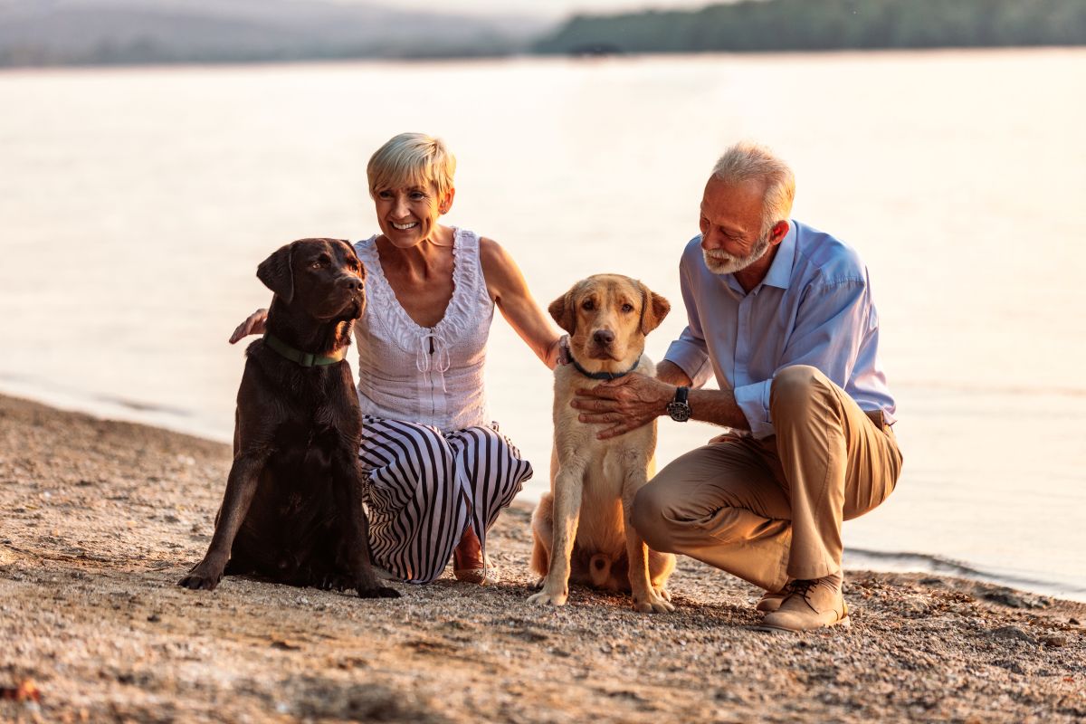 Retired couple caring for two rescue dogs